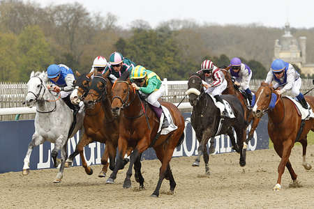 Actualités Hippiques